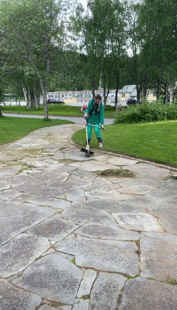 Klikk for stort bilde