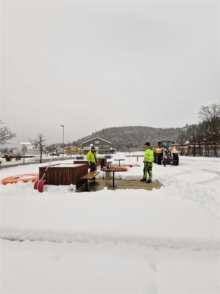 Klikk for stort bilde