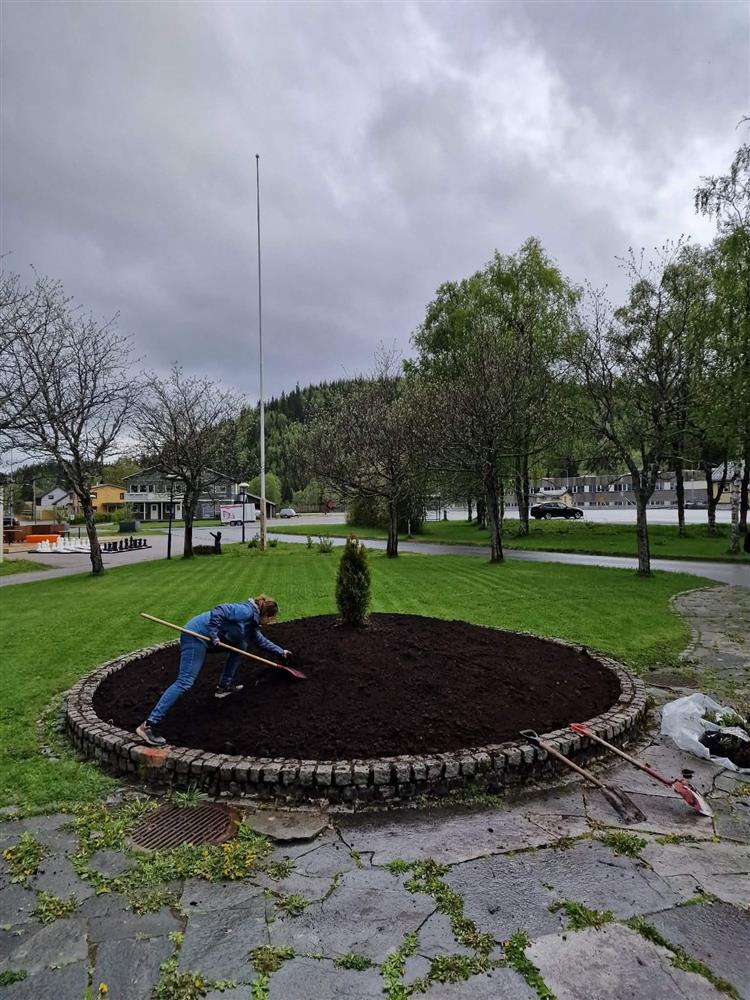 Klikk for stort bilde