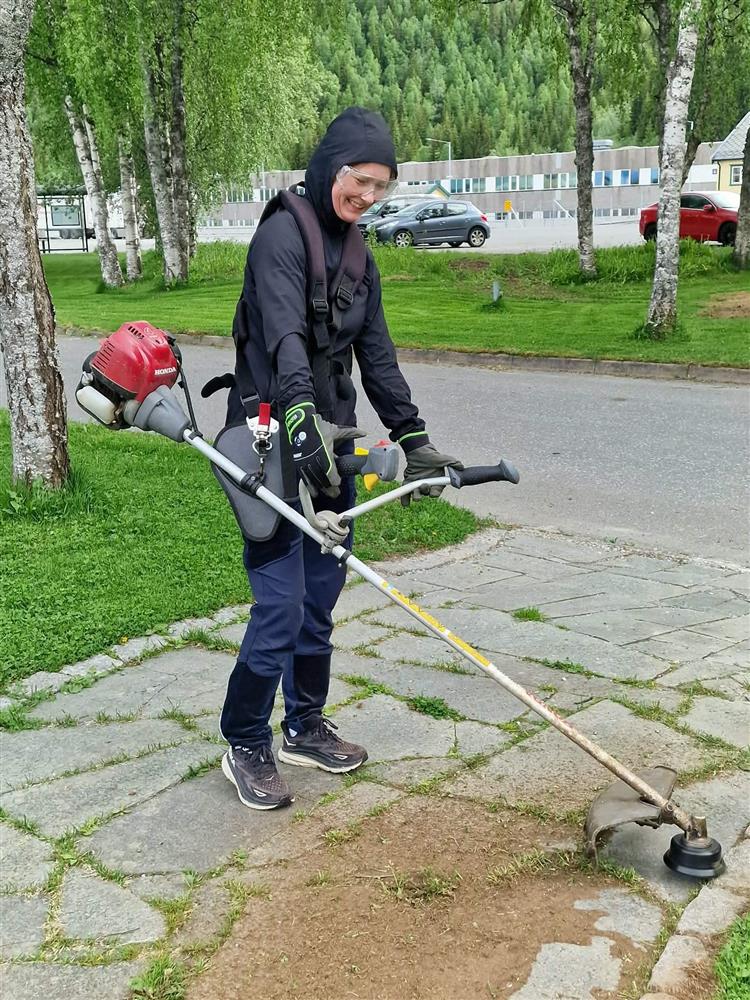 Klikk for stort bilde
